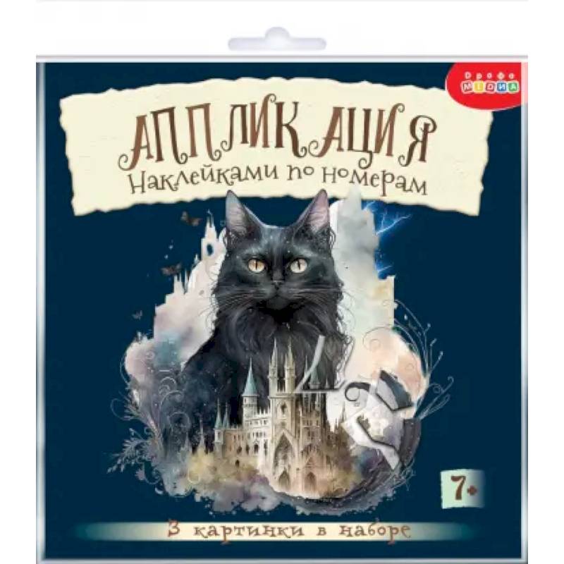 Фото Аппликация наклейками по номерам Сумеречные коты