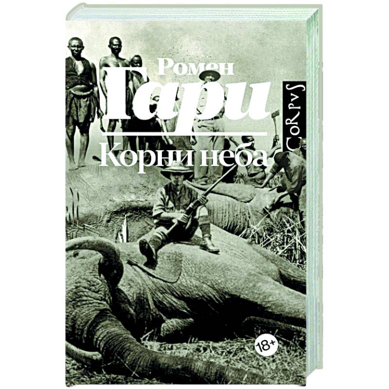 Фото Корни неба