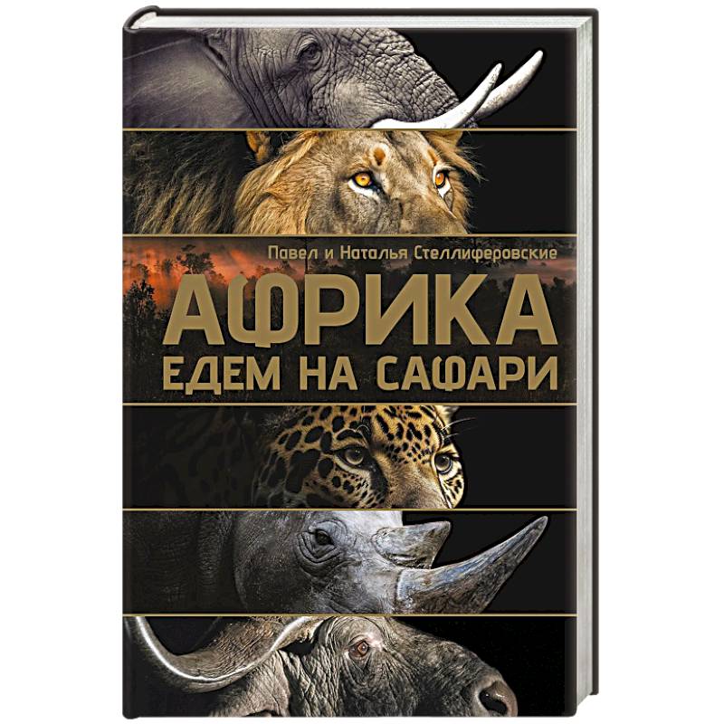 Фото Африка. Едем на сафари