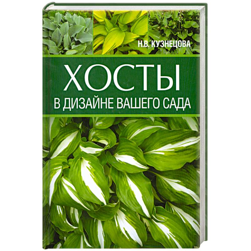 Фото Хосты в дизайне вашего сада