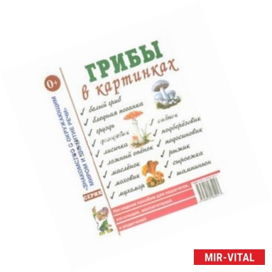 Фото Грибы в картинках. Наглядное пособие для педагогов, логопедов, воспитателей и родителей