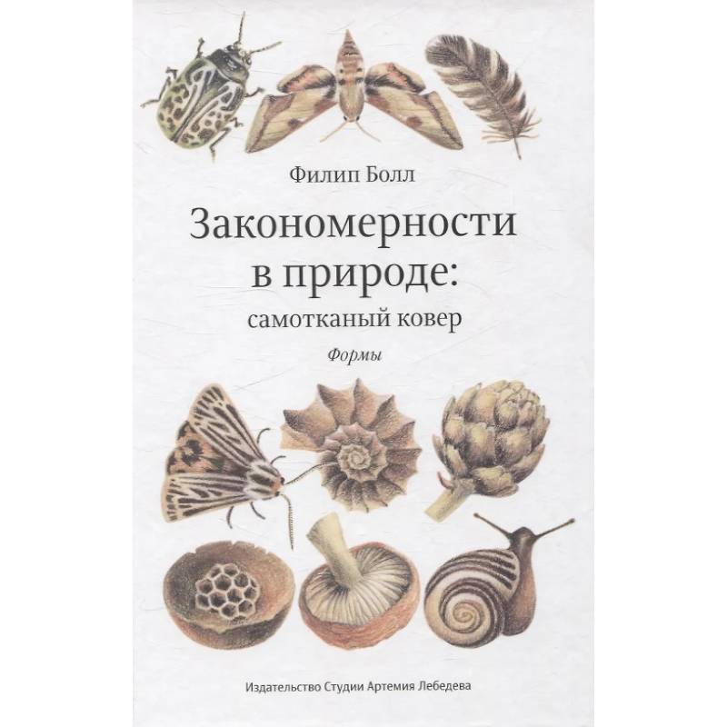 Фото Закономерности в природе: самотканный ковер (в трех частях). Формы