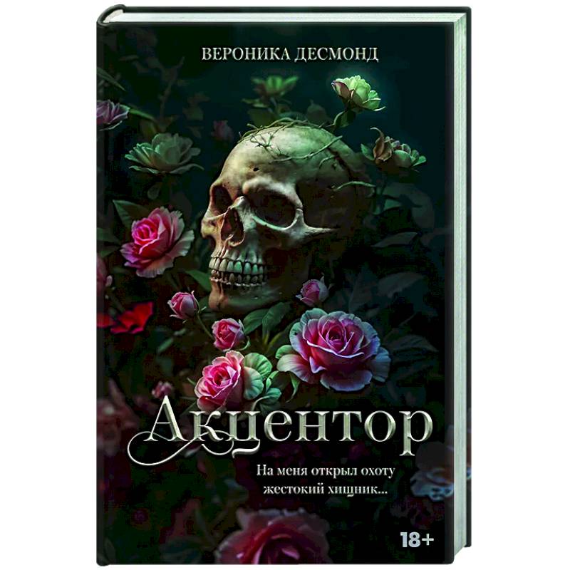 Фото Акцентор