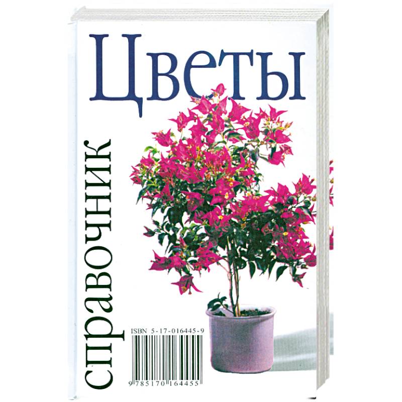 Фото Цветы