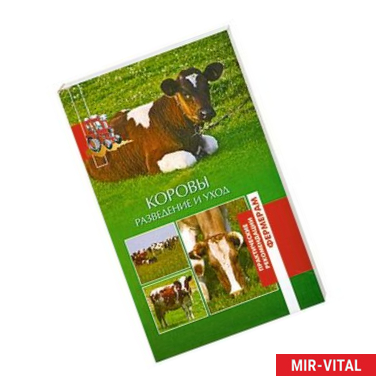 Фото Коровы : Разведение и уход