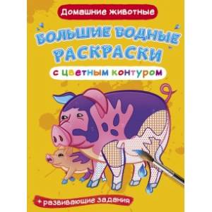 Фото Большие водные раскраски с цветным контуром. Домашние животные