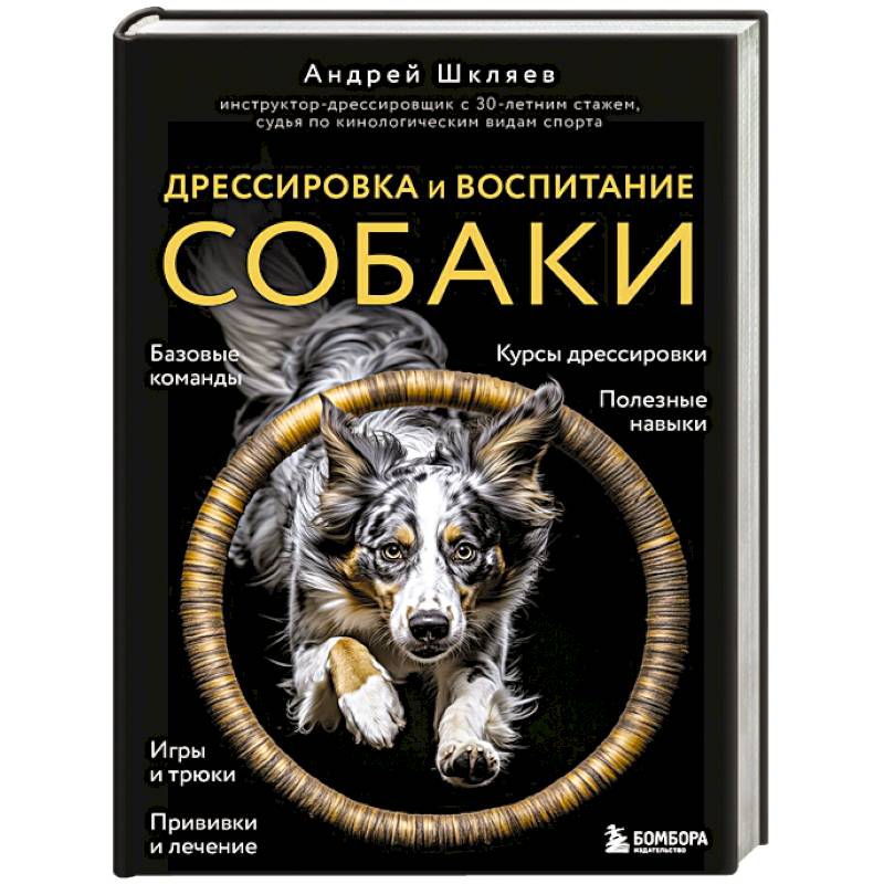 Фото Дрессировка и воспитание собаки