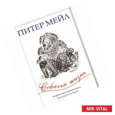 Фото Собачья жизнь