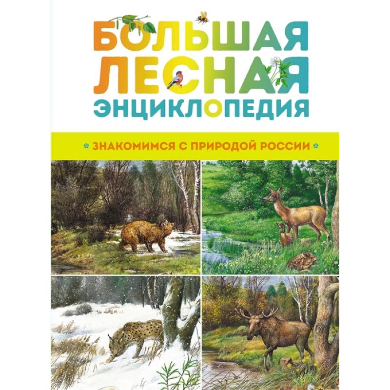 Фото Большая лесная энциклопедия.Знакомимся с природой России