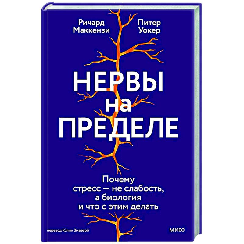 Фото Нервы на пределе. Почему стресс — не слабость, а биология, и что с этим делать