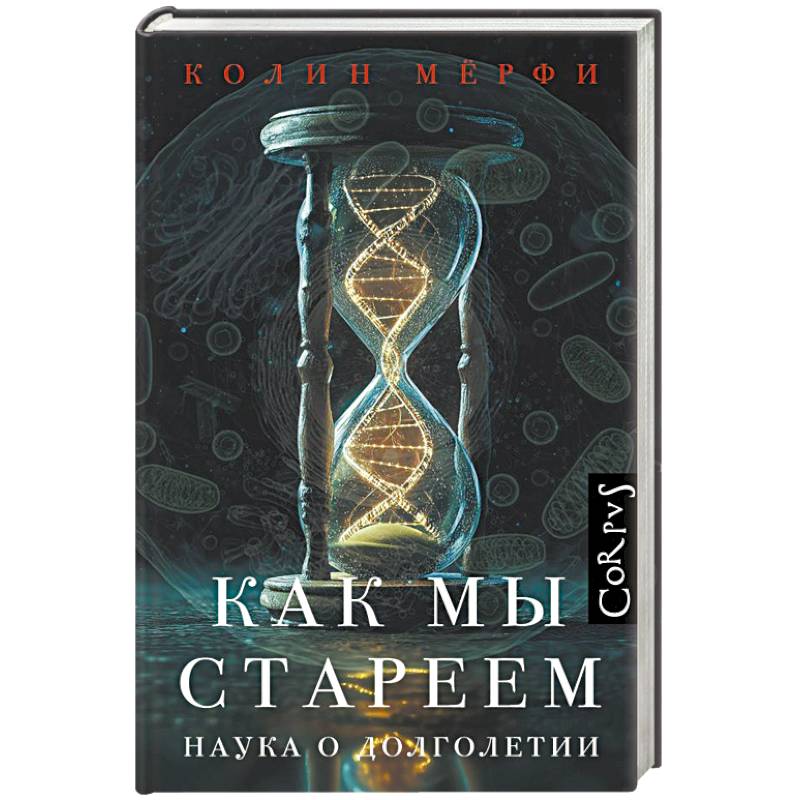 Фото Как мы стареем