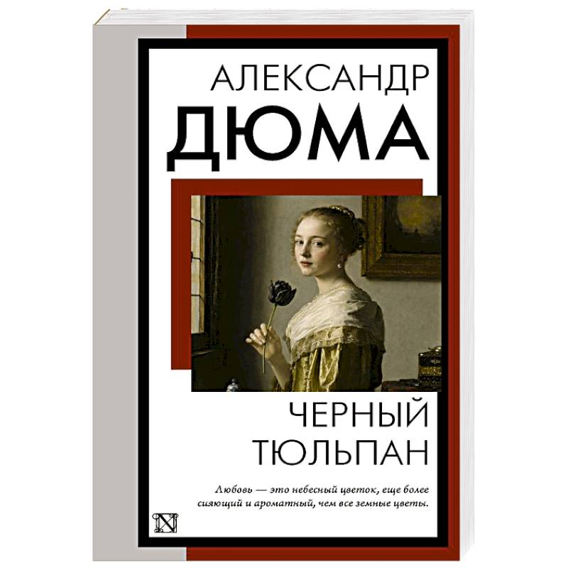 Фото Черный тюльпан