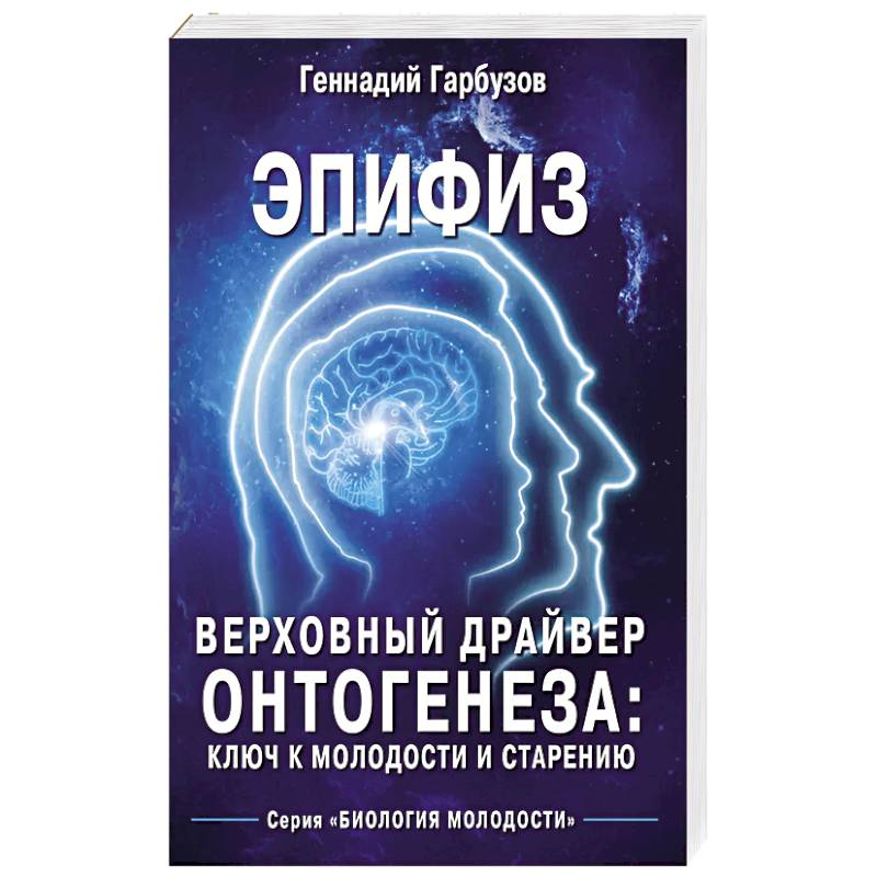 Фото Эпифиз - верховный драйвер онтогенеза: ключ к молодости и старению