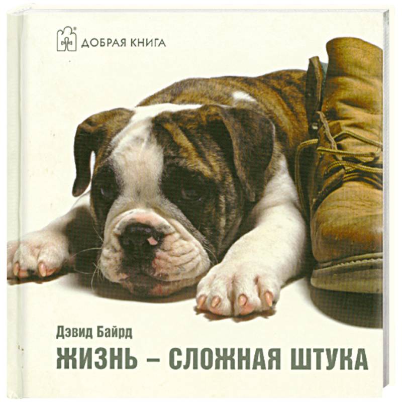 Фото Жизнь - сложная штука