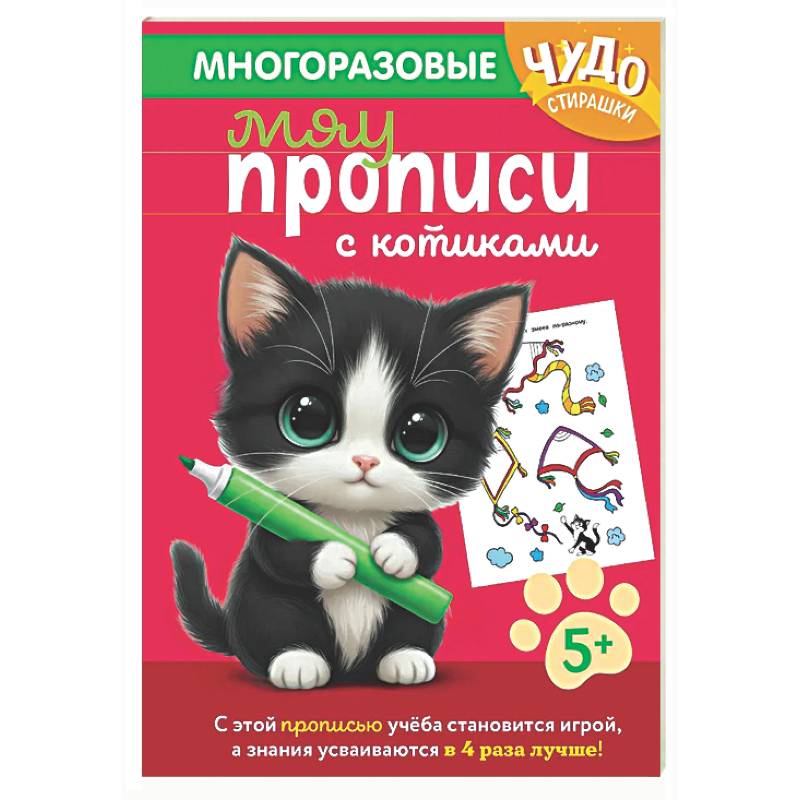 Фото Многоразовые мяупрописи с котиками: для детей 5-6 лет