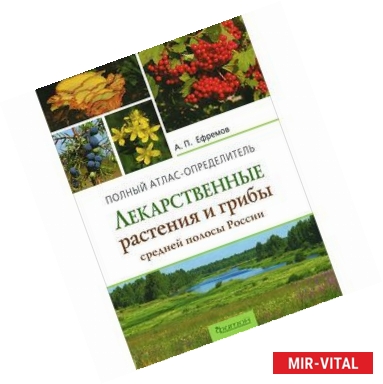 Фото Лекарственные растения и грибы средней полосы России