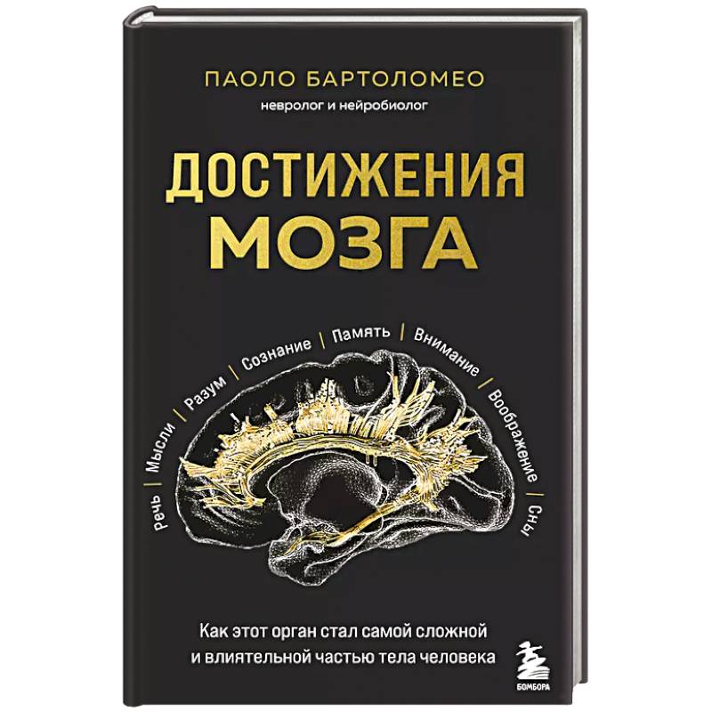 Фото Достижения мозга. Как этот орган стал самой сложной и влиятельной частью тела человека