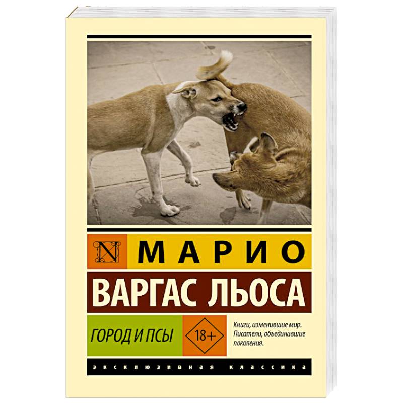 Фото Город и псы