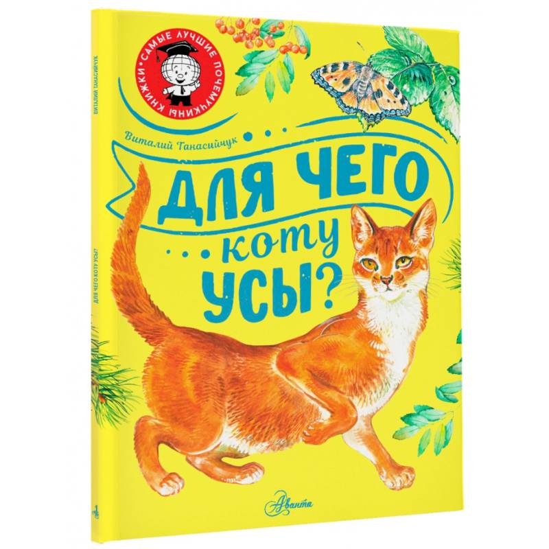 Фото Для чего коту усы?