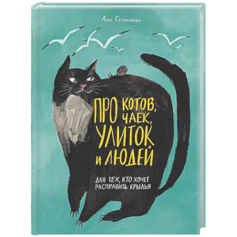 Фото Про котов, чаек, улиток и людей