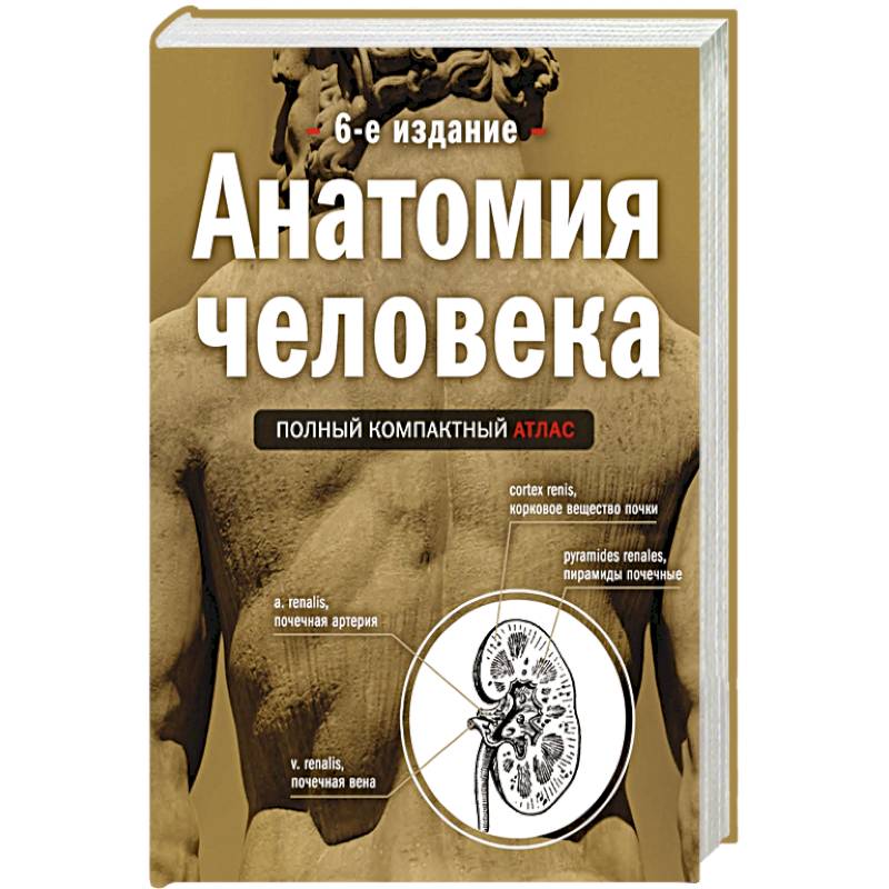 Фото Анатомия человека: полный компактный атлас