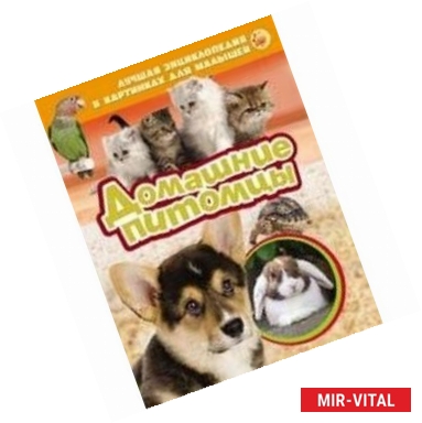Фото Домашние питомцы