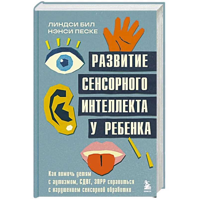 Фото Развитие сенсорного интеллекта у ребенка. Как помочь детям с аутизмом, СДВГ, ЗПРР справиться с нарушением сенсорной обработки