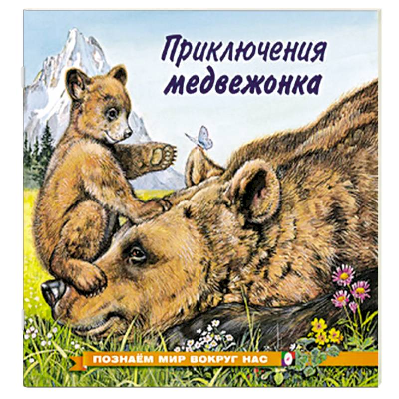 Фото Приключения медвежонка