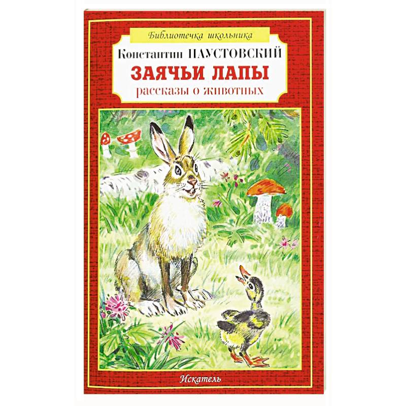 Фото Заячьи лапы рассказы о животных