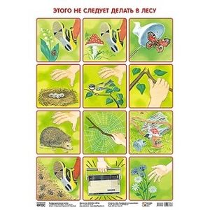 Фото Плакат. Этого не следует делать в лесу