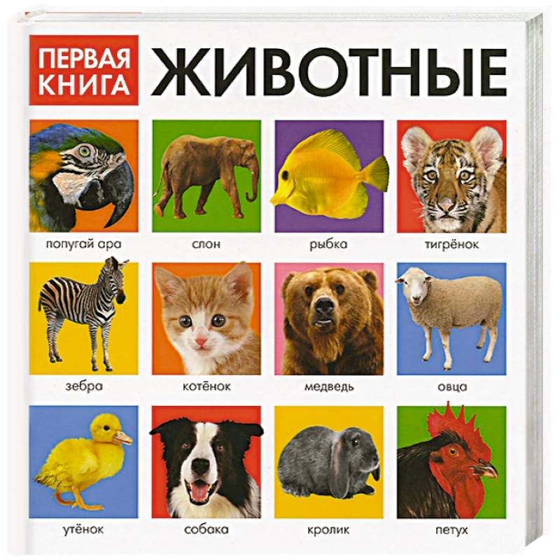 Фото Первая книга. Животные