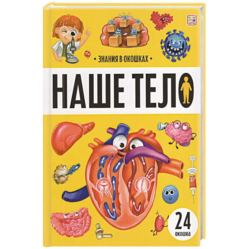 Фото Знания в окошках. Наше тело