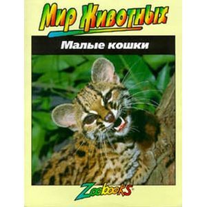 Фото Малые кошки