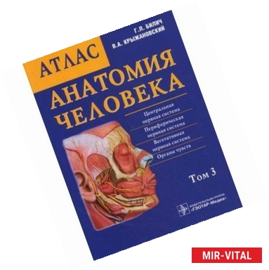 Фото Анатомия человека: атлас в 3 томах. Том  3.