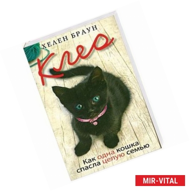 Фото Клео. Как одна кошка спасла целую семью