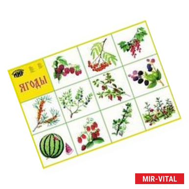 Фото Плакат 'Ягоды'