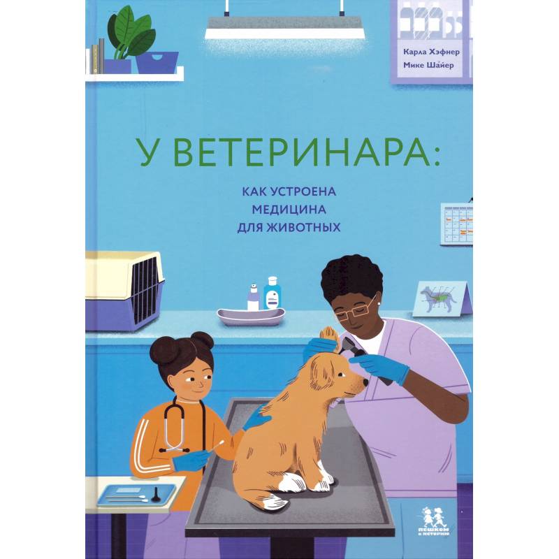 Фото У ветеринара. Как устроена медицина для животных