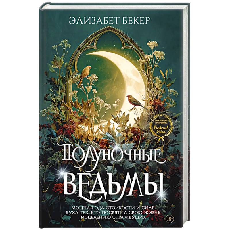 Фото Полуночные ведьмы