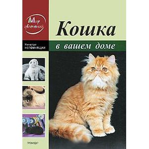 Фото Кошка в вашем доме