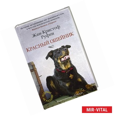 Фото Красный ошейник