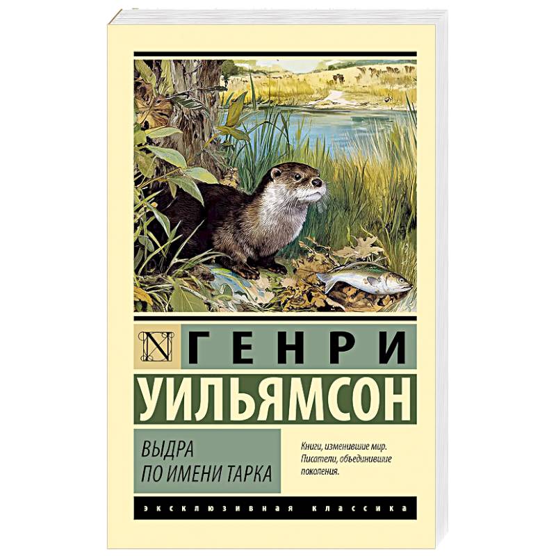 Фото Выдра по имени Тарка