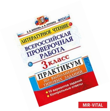 Фото Литературное чтение. 3 класс. Всероссийская проверочная работа. Практикум по выполнению типовых заданий