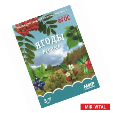 Фото Ягоды лесные. Наглядно-дидактическое пособие. 3-7 лет