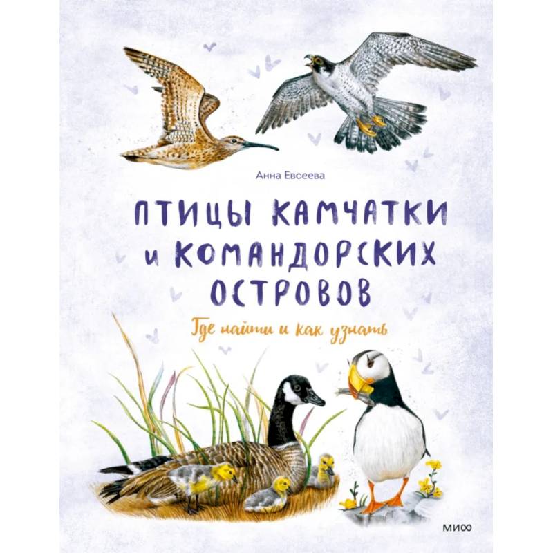 Фото Птицы Камчатки и Командорских островов. Где найти и как узнать