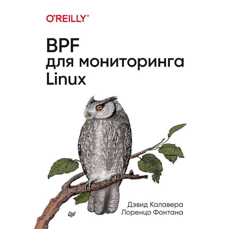 Фото BPF для мониторигна Linux