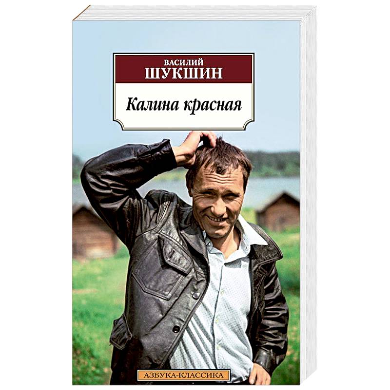 Фото Калина красная