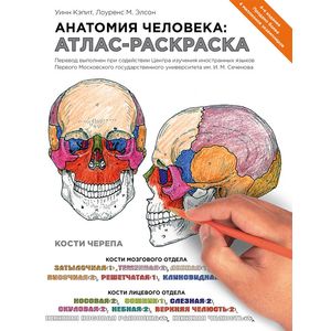 Фото Анатомия человека. Атлас-раскраска