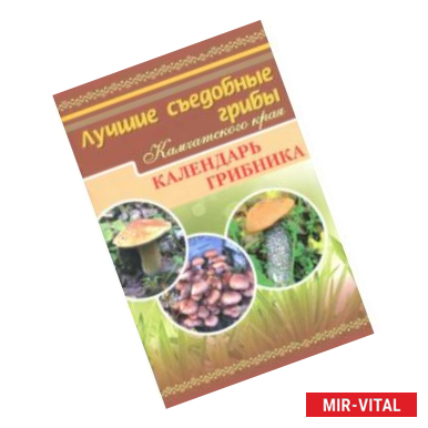 Фото Лучшие съедобные грибы Камчатского края. Календарь грибника