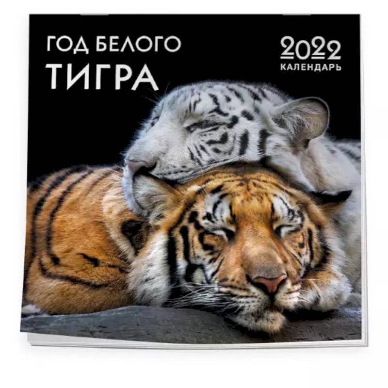 Фото Год белого тигра. Календарь настенный на 2022 год (300х300 мм)