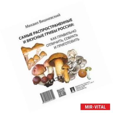 Фото Самые распространенные и вкусные грибы России. Как правильно отличить, собрать и приготовить